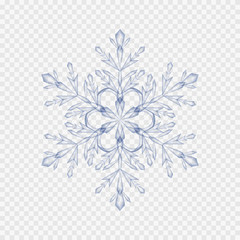 Crystal snowflake  isolated on transparent background. Vector Christmas element template.