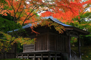 世界遺産　紅葉の中尊寺