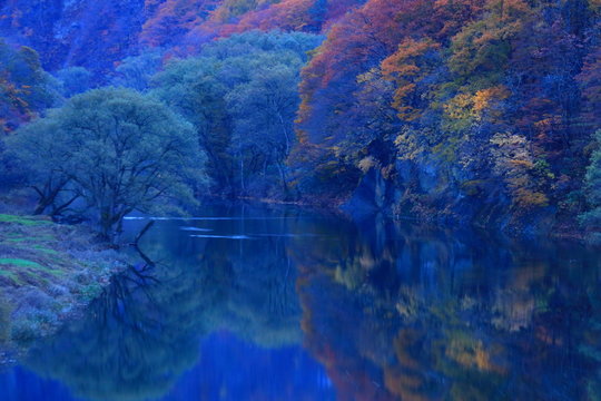 Lebbaeus Images Browse 707 Stock Photos Vectors And Video Adobe Stock