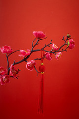 Chinese new year's decoration for Spring festival