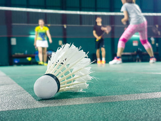 Shuttlecock on the badminton court