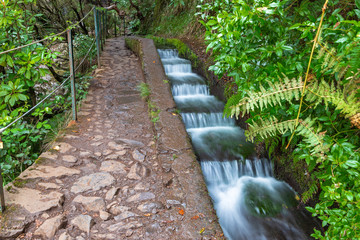 Wanderweg zu den 25 Quellen, 25 Fontes, Rabacal, Madeira
