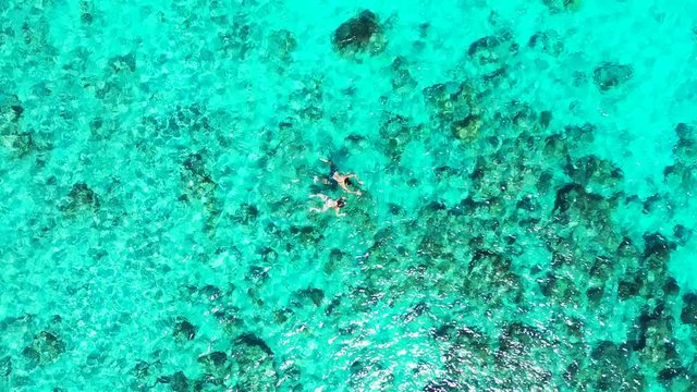 The Glowing Waters Of Thoddoo Island Maldives - Lovely Couple Swimming On The Bright Clear Waters With A View Of Its Beautiful Underwater Creation - Aerial Shot