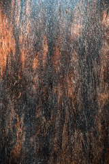 Wooden texture designed for your background