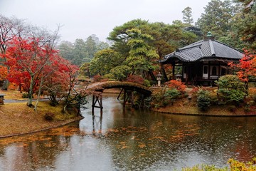 Fototapeta na wymiar Autumn scenery of a Japanese free entry garden in Kyoto, Japan, with wooden bridges over the lake and fiery maple trees by the pond on a rainy day