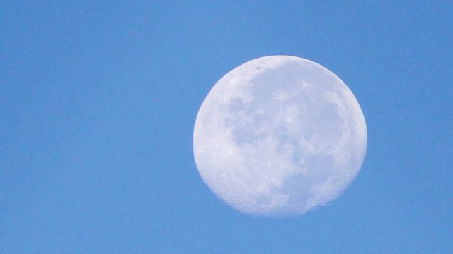 A beautiful moon from afar at dawn