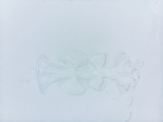 view of snow angel shape on snowed ground