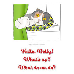 Funny cat on a cat bed and banners with lettering to create a plot, postcard.