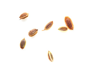 Dill seeds isolated on a white background