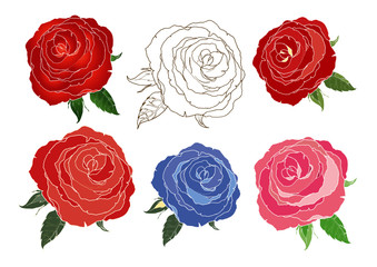 set of red roses isolated on white background
