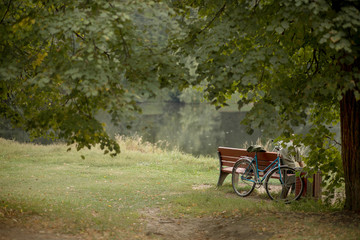 blue bicycle stands in a park by the pond next to the bench