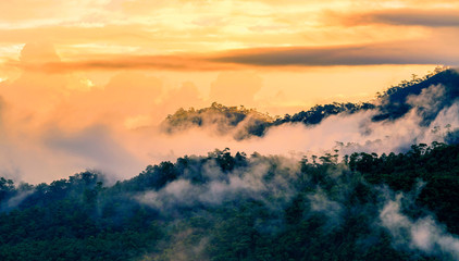 Landscape of misty over forest on the mountains slope in a nature morning time
