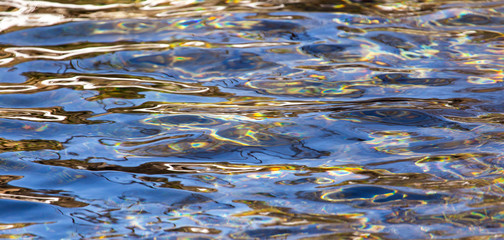 The surface of clear water in a pond