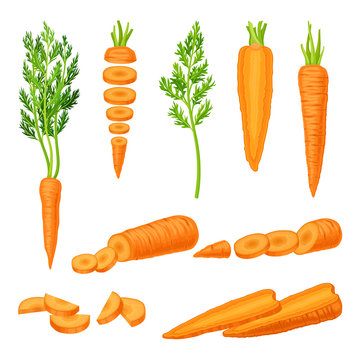 Whole and Cut into Slices Carrot Vector Set