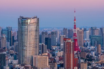 Fototapeta premium 日本 東京 高層ビルのある風景 typical sight of Tokyo, Japan