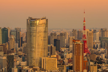 Fototapeta premium 日本 東京 高層ビルのある風景 typical sight of Tokyo, Japan