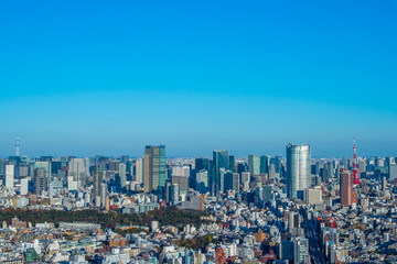 Fototapeta premium Japonia Tokio Sceneria z drapaczami chmur typowy widok Tokio, Japonia