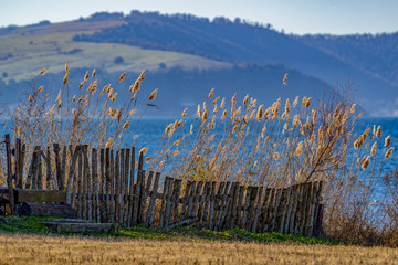 On the lakeside in winter