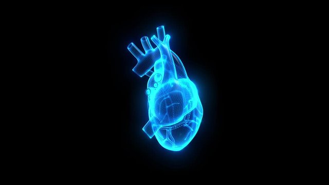 Perfect loop Human Heart animation with 3 pack and transparent.