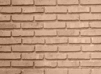 Brick wall texture