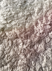 Wool texture
