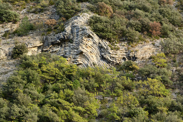 A lot of strata in a rock. Trees with autumnal colors. Provence in South France.