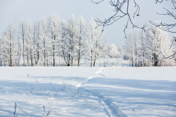 winter landscape with trees and snow, a path in the snow, frost on the trees
