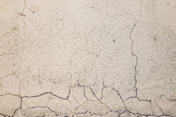 Old Wall with Moldy Peeling