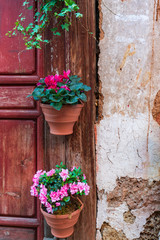 古い扉を飾る花