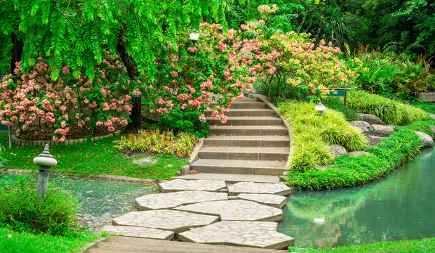 Colorful Dona flower plant, shrub and bush in a good care maintenance landscapes, decorated with free form grey color concrete stepping walkway  cross the water,lake in a informal garden