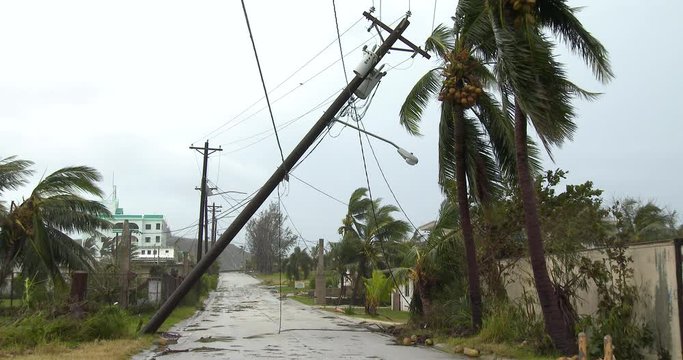 Hurricane Aftermath Wind Damage To Utility Poles - Dolphin