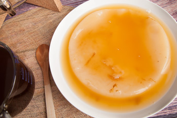 Close up of Kombucha scoby 