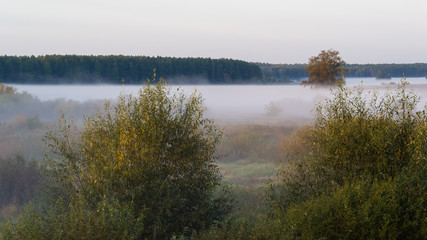 Krajobraz i natura Podlasia, Rzeka Narew, Polska