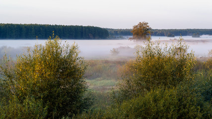 Krajobraz i natura Podlasia, Rzeka Narew, Polska © podlaski49