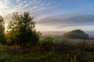 Krajobraz i natura Podlasia, Rzeka Narew, Polska © podlaski49