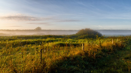 Krajobraz i natura Podlasia, Rzeka Narew, Polska © podlaski49