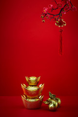 Chinese new year's decoration for festival