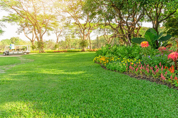 Smooth green grass lawn in good care maintenance garden, flowering plant, shrub and trees on backyard under morning sunlight, small pattern of grey concrete stepping stone on left of the park