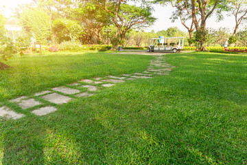 Green grass lawn with pattern walkway of grey concrete stepping stone in garden of flowering plant,  shrub and trees on backyard under morning sunlight with good care landscaping