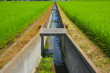 農業用水路