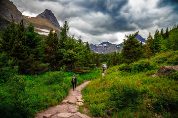 Fototapeta na wymiar Hiking Trails in Glacier National Park