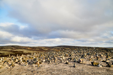 Tundra landscape with moss, glass and stouns in the north of Norway or Russia and blue sky with clouds