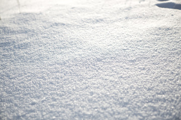 Close up of fresh snow great as a background Nature winter landscape