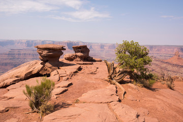 landscape in canyonlands National park in the united states of america