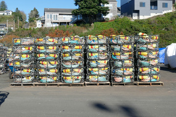 Crab traps and floats in the Yaquina marina