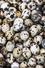 Obraz premium quail eggs background on the store counter or in production