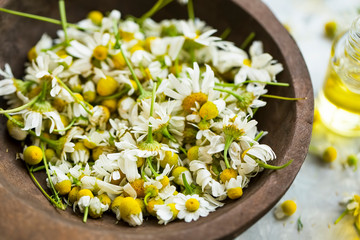Dried chamomile flowers in wooden bowl - 304661613