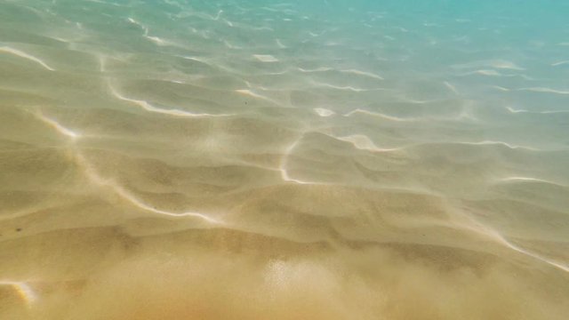 sand muddle turbulence in water on sea bottom, underwater background