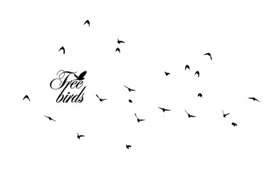 A flock of flying birds. Vector illustration