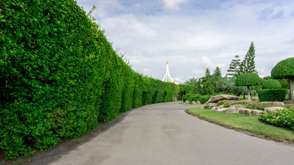 Topiary garden style, asphalt road in gardens with hedge round shape of bush and shrub, decoration with greenery wall plant, Philippine tea plant on green grass lawn in a good care landscapes 